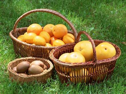 سبدهايي پر از پرتقال و کيوي و گريپ فروت