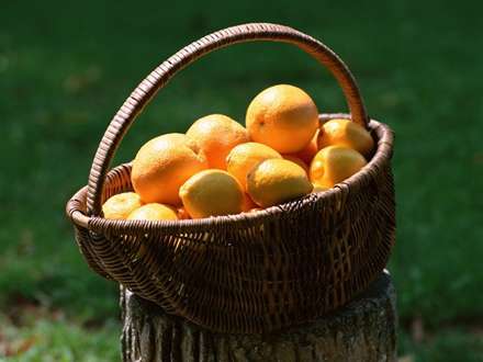 سبدي پر از پرتقال و ليمو