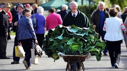 برگزاری مسابقات "بزرگترین سبزیجات دنیا" در انگلستان!