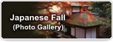 Japanese Fall (Photo Gallery)