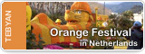 Orange Festival in Netherlands