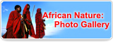 African Nature: Photo Gallery