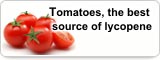 Tomatoes, the best source of lycopene