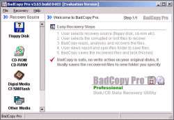 BadCopy Pro 3.80