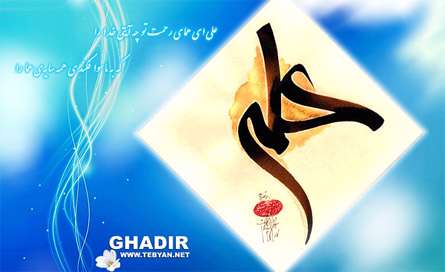 متحیرم چه نامم شه ملک لافتی را