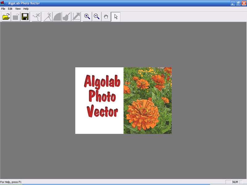 AlgoLab Photo Vector v1.98.76