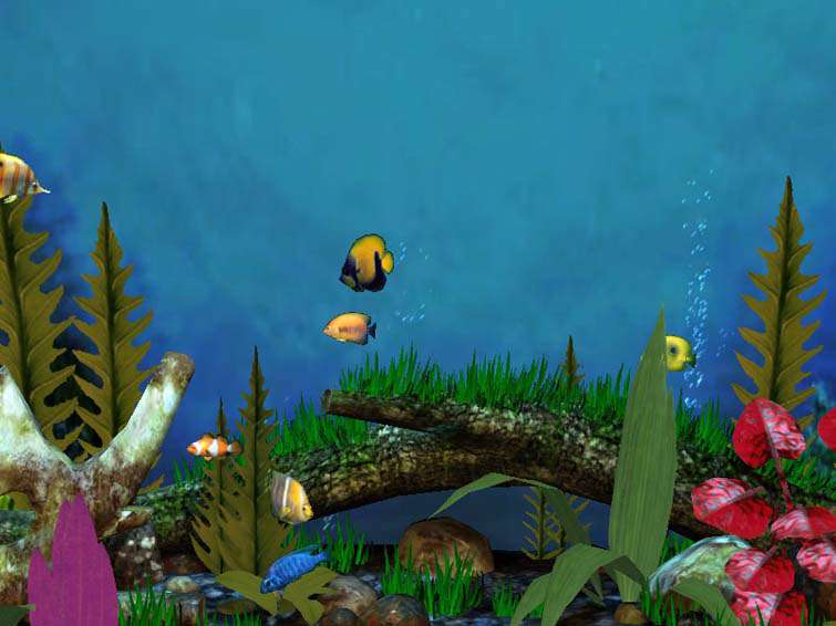 Fish Aquarium 3D Screensaver