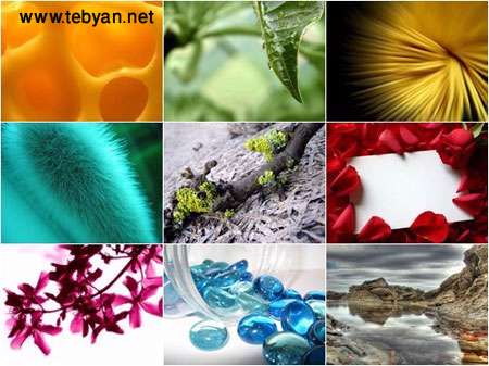 مجموعه عكس های طبیعت در HQ WallPapers
