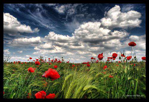 HDR Wallpapers