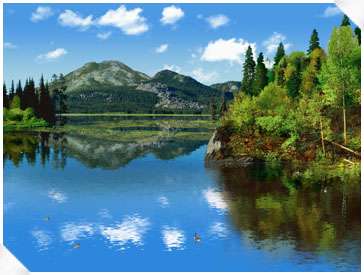 3DFourSeasons