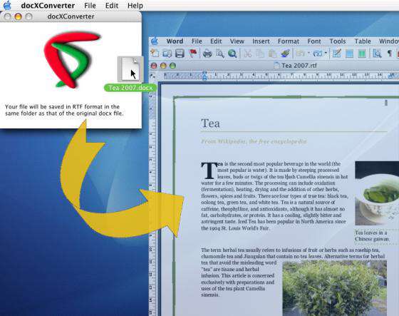 DocX Converter v3.1