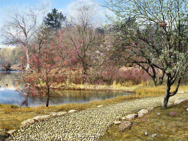 3D Spring Blossoms Screen Saver
