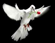 آثار طهارت باطنی نماز (2)