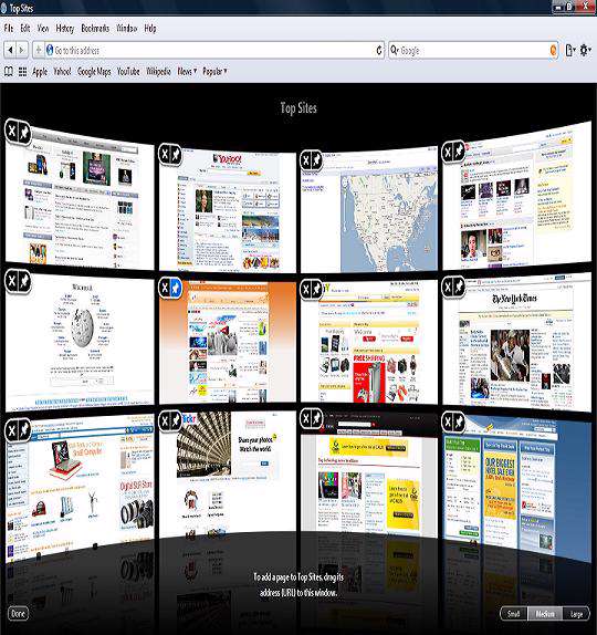 Apple Safari v4.0
