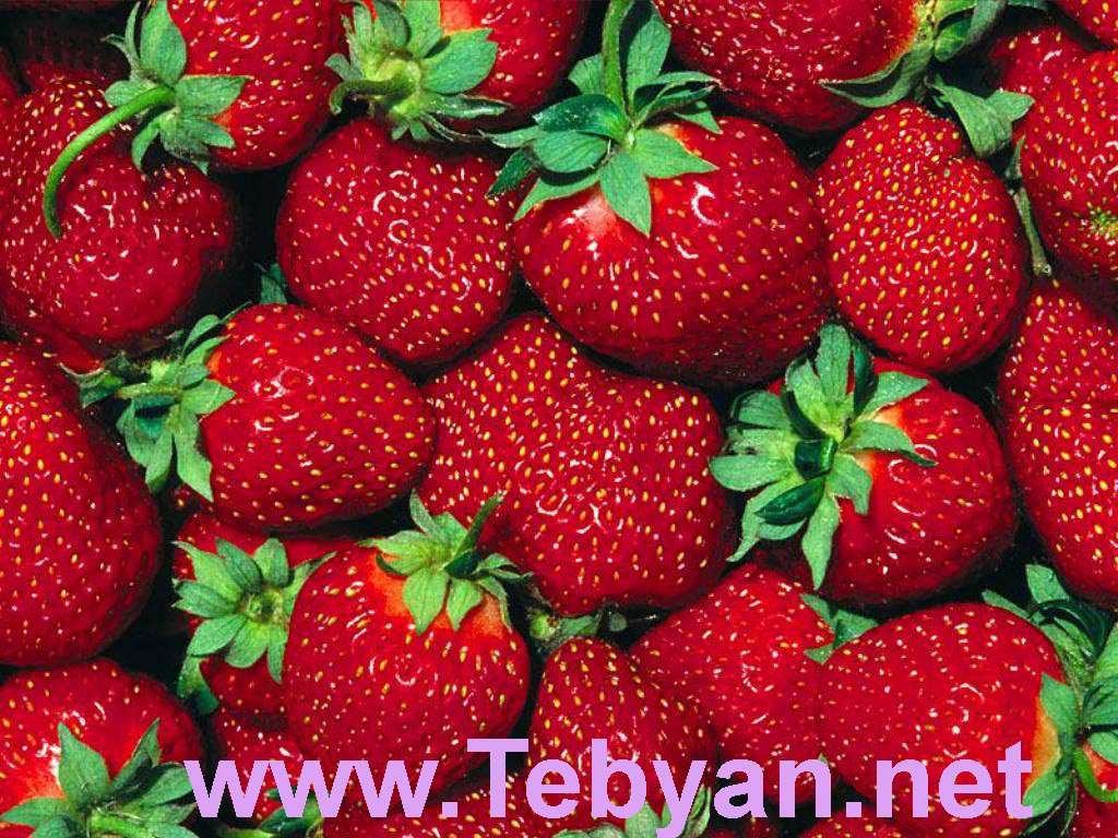 Strawberry Wallpaper