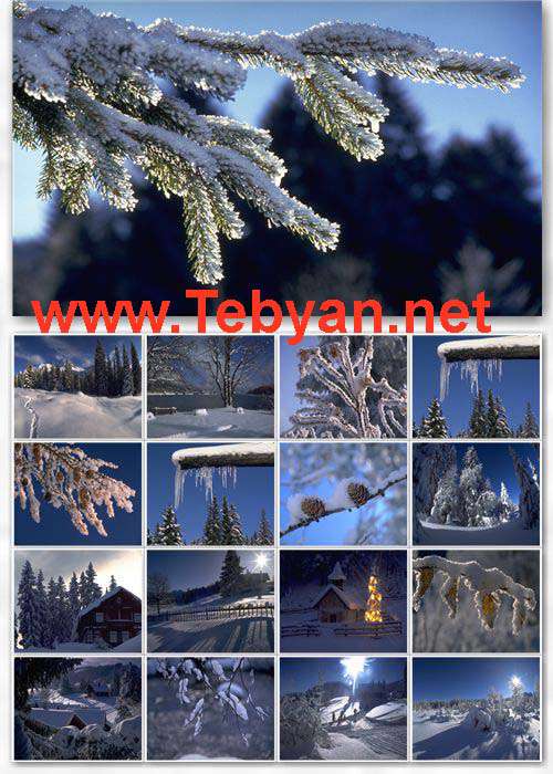 Winter Wallpaper No.4