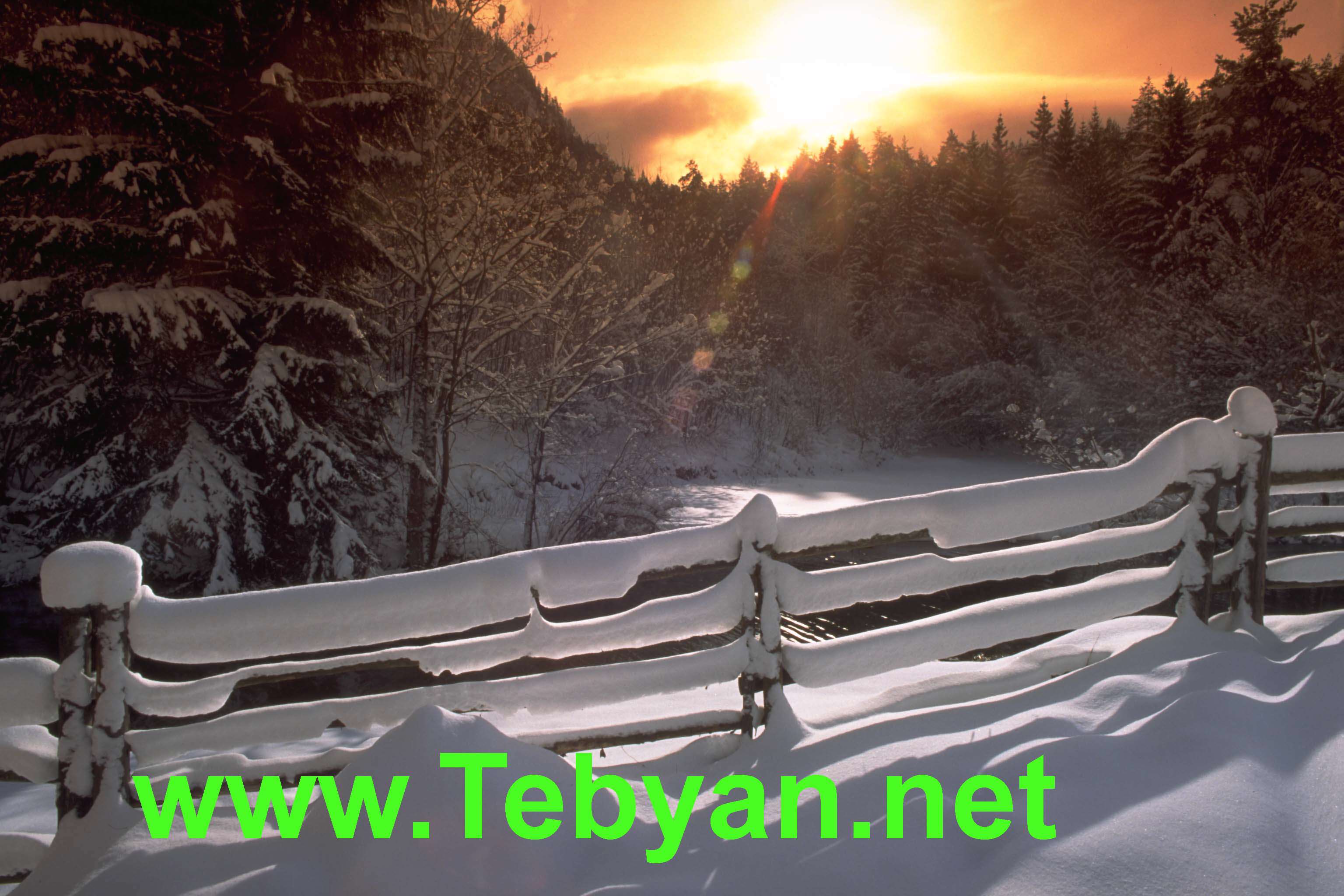 Winter Wallpaper No.5