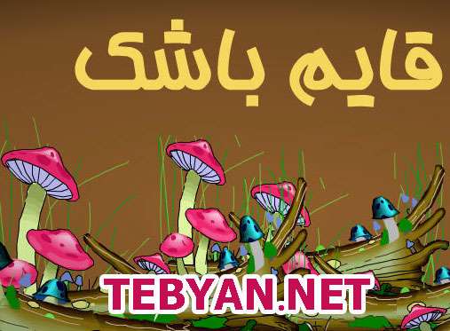 قایم باشک