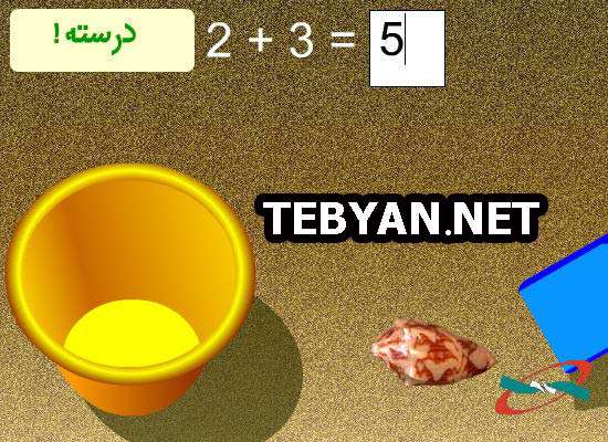در جستجوی صدف دریایی