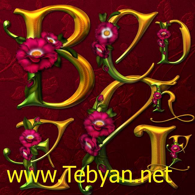Abelarde Roses