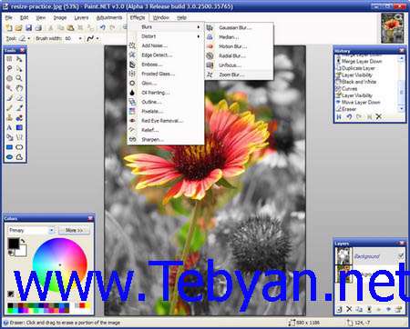 Paint.NET 3.5.3 Portable