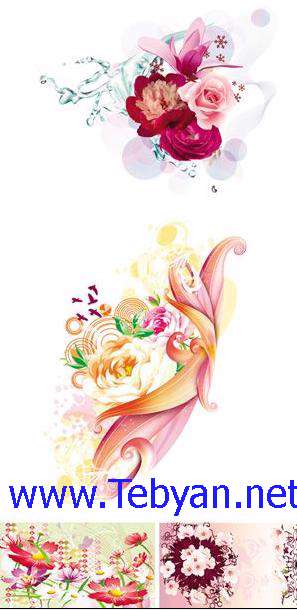 Spring Flowers Vector