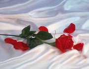 رازهای زندگی زیبا