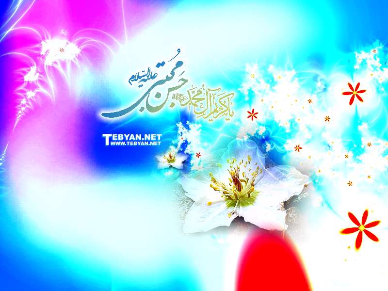 تصاویر ویژه ولادت امام حسن(ع) از سال 81 الی 86
