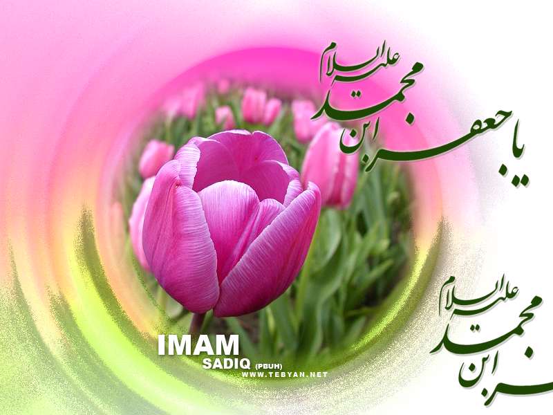 تصاویر ویژه ولادت امام صادق(ع) از سال 81 الی 86