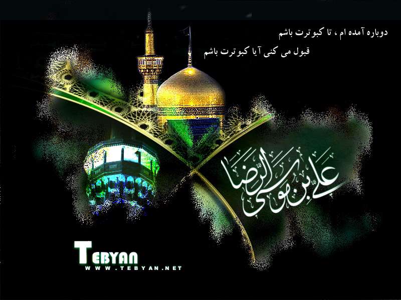 تصاویر ویژه شهادت امام رضا(ع) از سال 81 الی 86