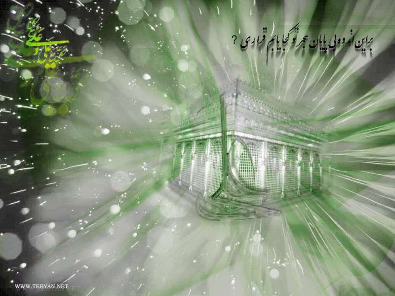 تصاویر ویژه شهادت امام علی (ع) از سال 81 الی 86