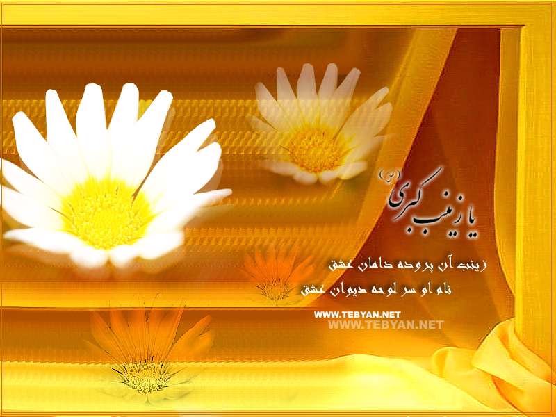 تصاویر ویژه ولادت حضرت زینب(س) از سال 81 الی 86