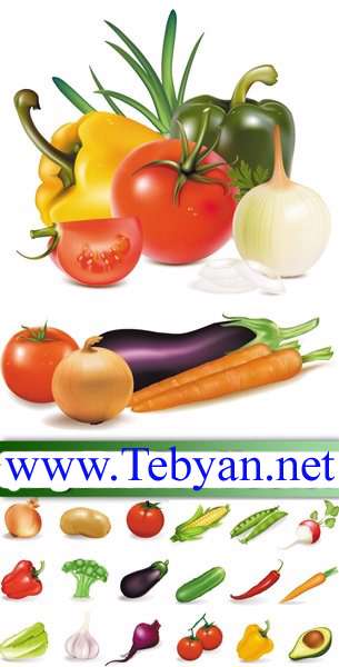 Vegetables Vector