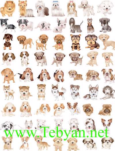 Dogs Vector