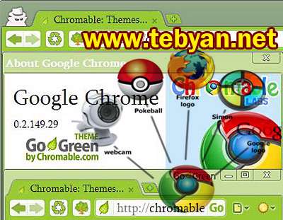 Google Chrome 6.0.401.1