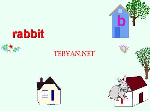 Letter Sounds