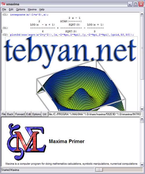 Maxima
