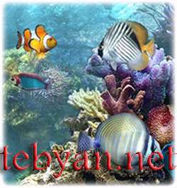 SimAquarium 2.7