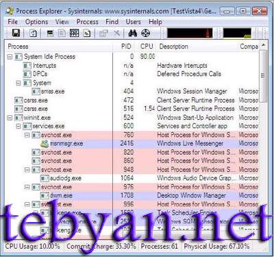 Process Explorer 11.31