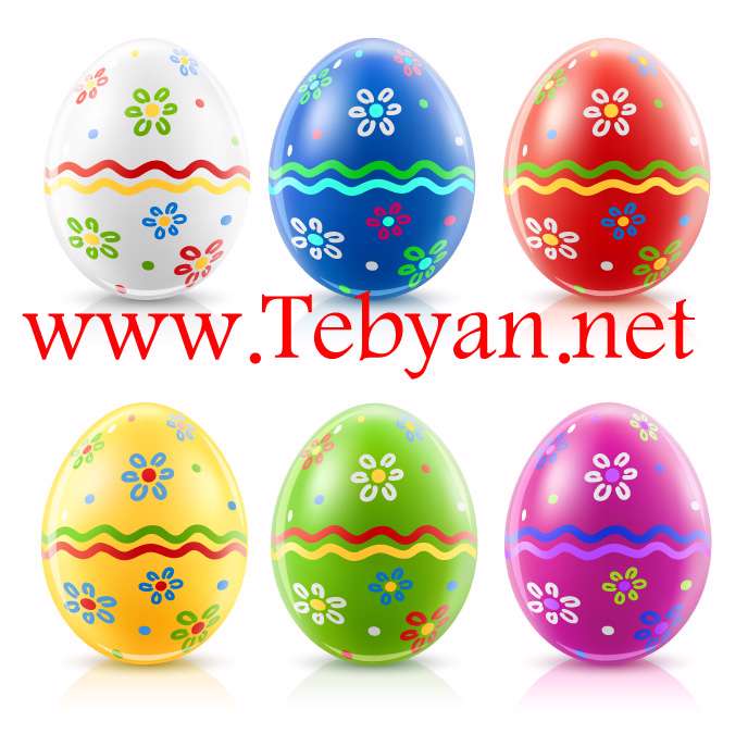Eggs Feature Vector material