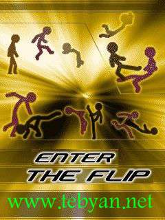 Enter The Flip