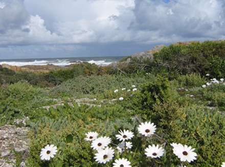 تم ویندوز سون تصاویر طبیعت بهمراه تقویم فروردین ماه سال 1391، سری پنجم