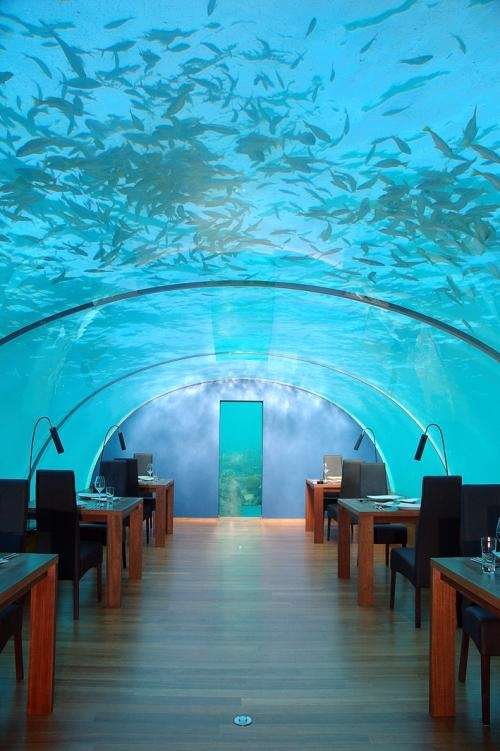 اولین رستوران زیر دریا با سقف شیشه ای... اولين رستوران زير دريا با سقف شيشه اي