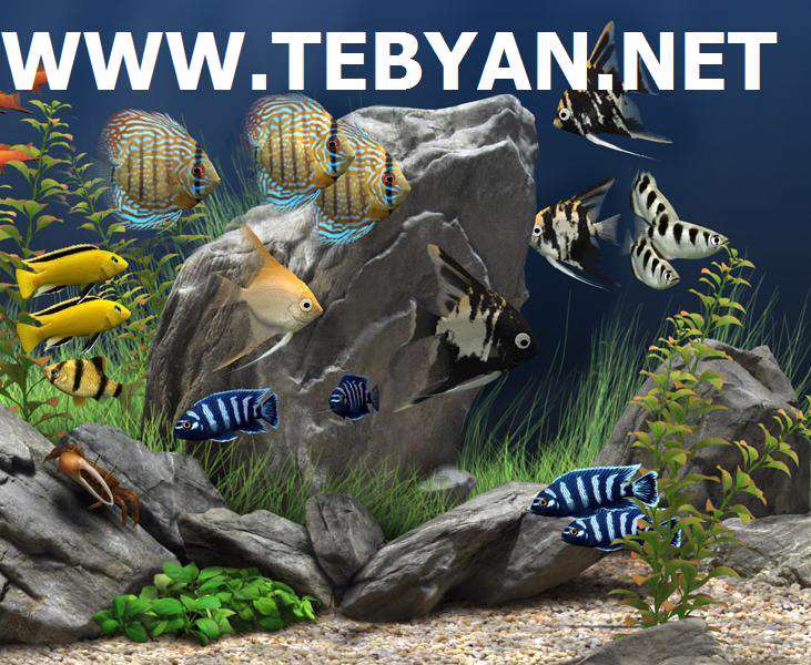 Dream Aquarium Screensaver 1.2415