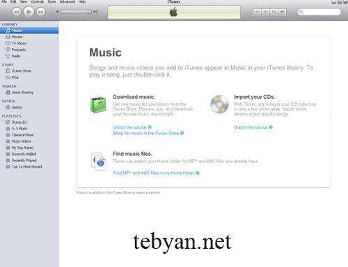 Apple iTunes 10.4.1