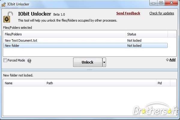 IObit Unlocker 1.0