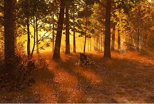 محافظ صفحه نمایش جنگل پاییزی 3Planesoft Autumn Forest 3D Screensaver v1.0.0.1