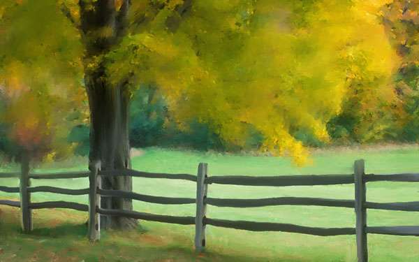 استفاده از Mixer Brush برای تبدیل یک عکس به نقاشی در Photoshop CS5