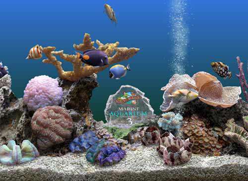 محافظ صفحه نمایش آکواریوم Marine Aquarium v3.2.5991