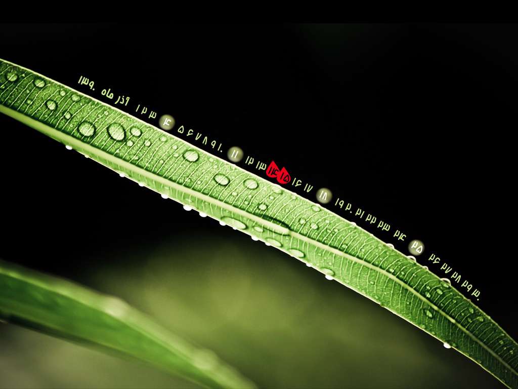 والپیپری زیبا به همراه تقویم آذر ماه، سری پنجم